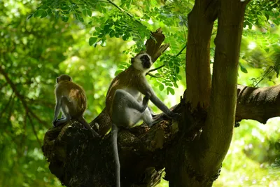 DSC_7871 (Large).JPG